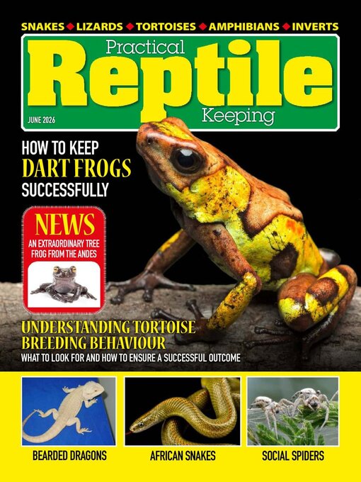 Cover image for Practical Reptile Keeping